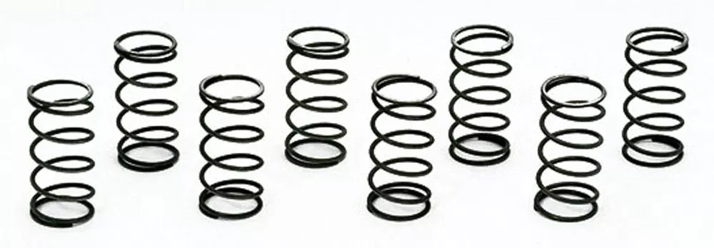 Moroso - Valve Checking Springs