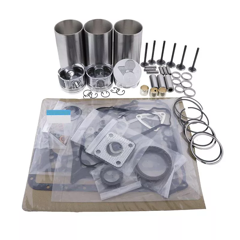 Overhaul Rebuild Kit for Kubota Engine D1005