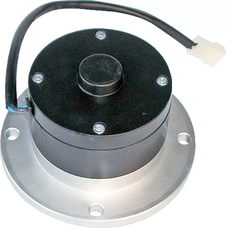 Proform - BBM Electric Water Pump
