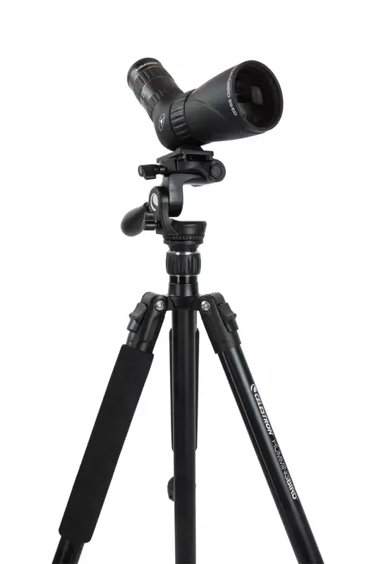 Tripod Hummingbird Fast Action Pan Tilt Head